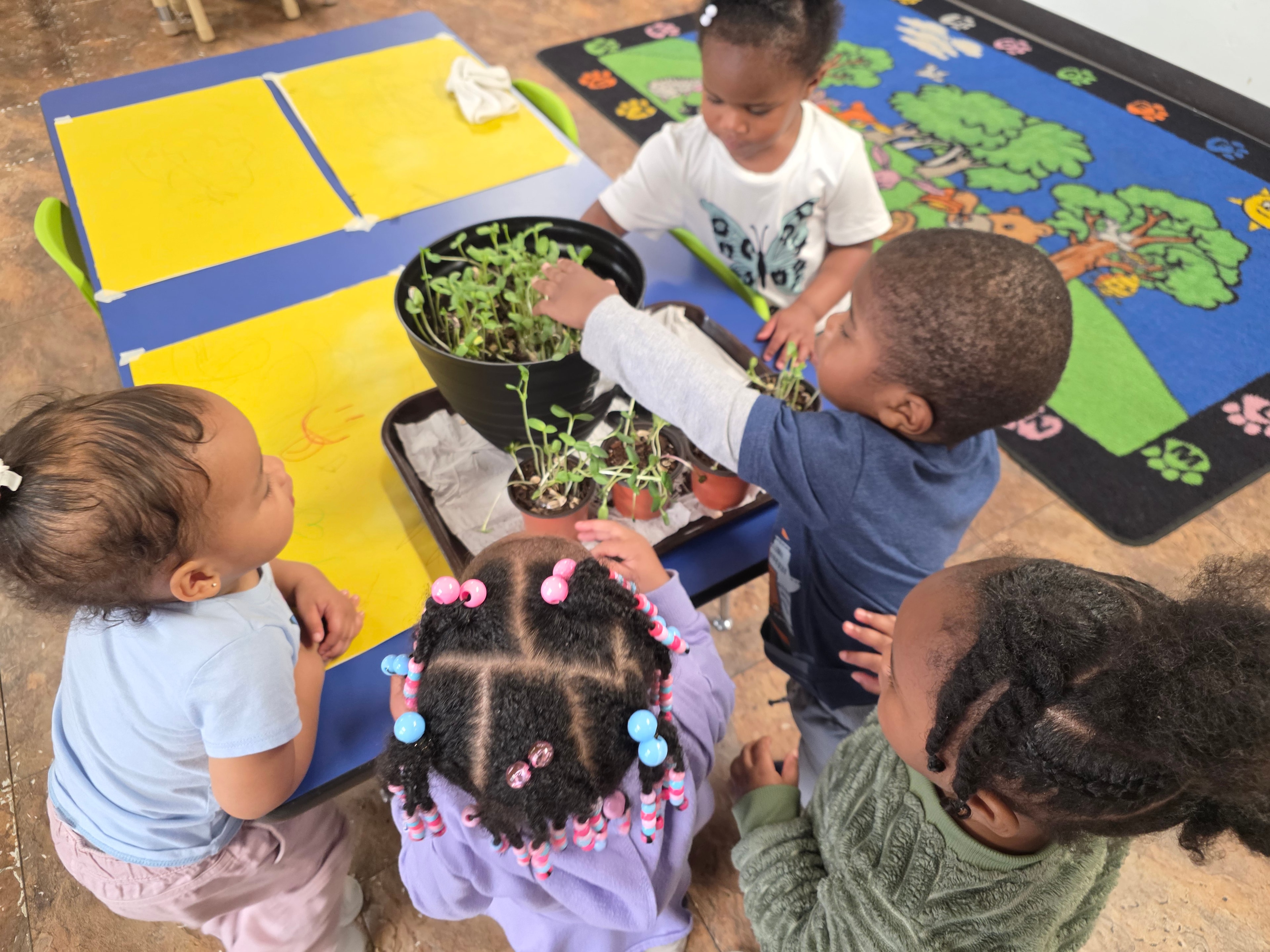 Children gathered around plants learning about nature and gardening in the classroom
