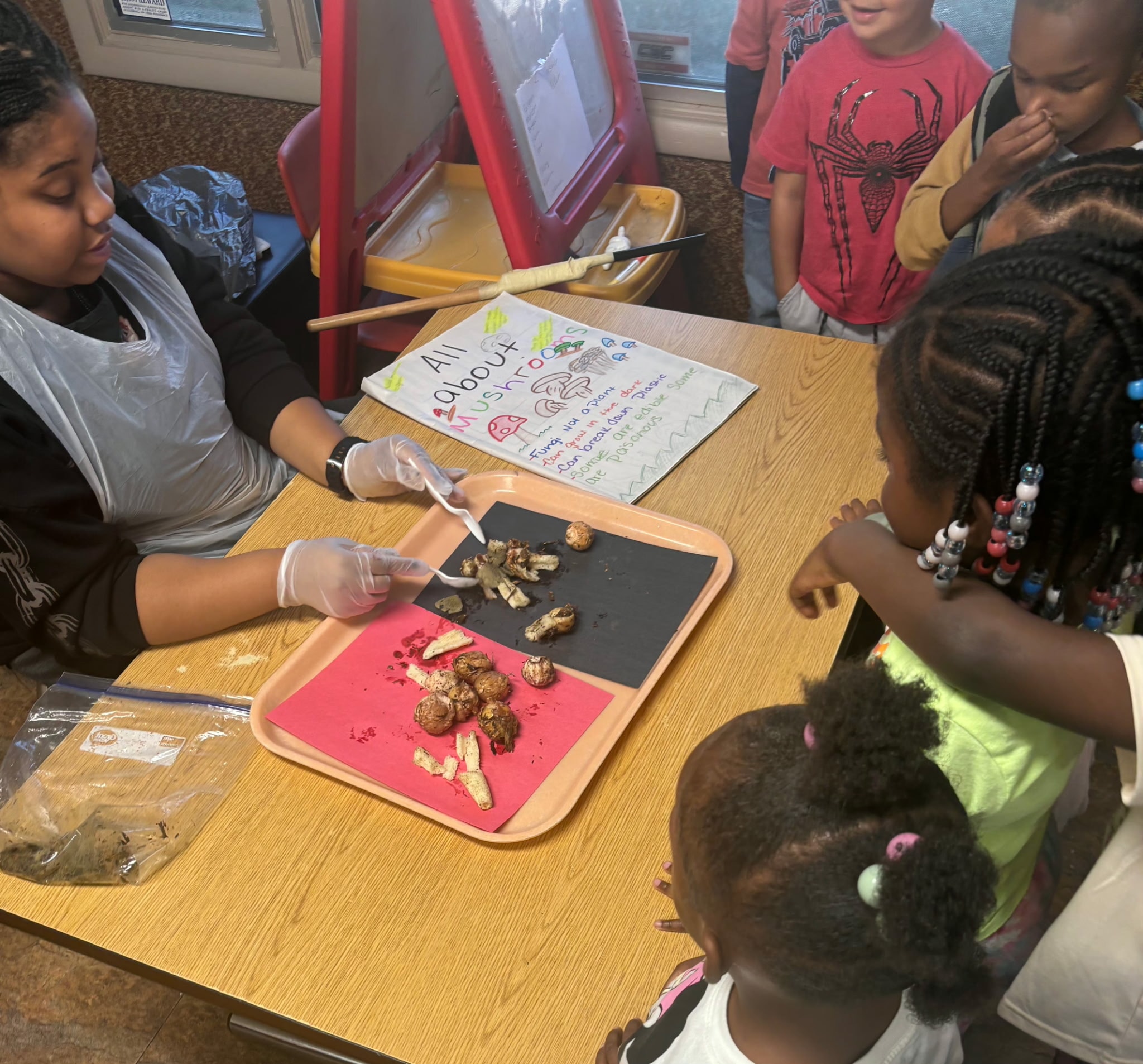 Teacher and children exploring mushrooms up close during an All About Mushrooms science activity